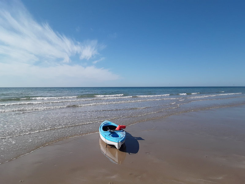Kayak resting on the shoreline